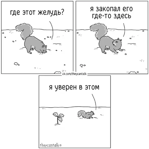 Белка забыла, где желудь