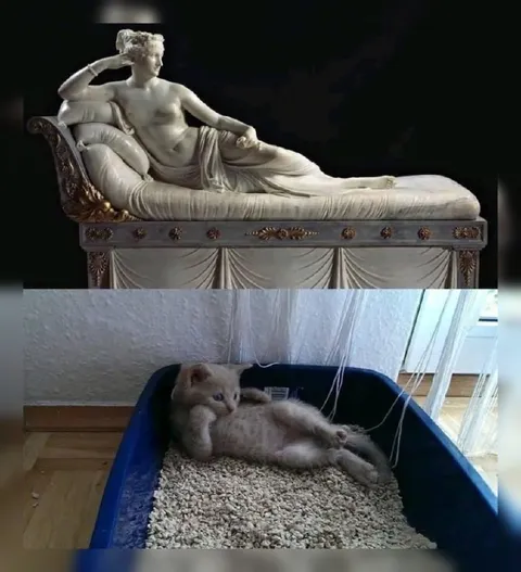 Котёнок как античная статуя