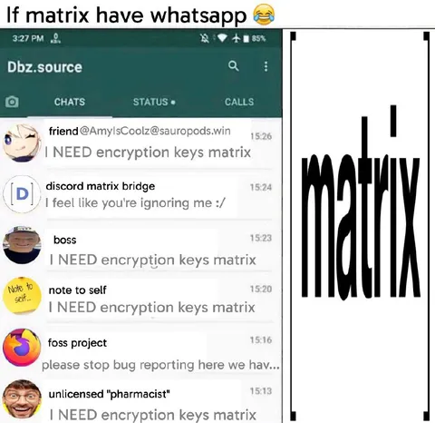 If Matrix Had WhatsApp