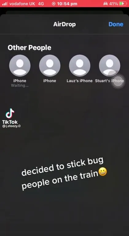 Get Stick Bugged on the Train