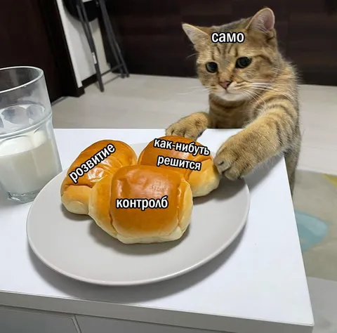 Кот контролирует развитие событий