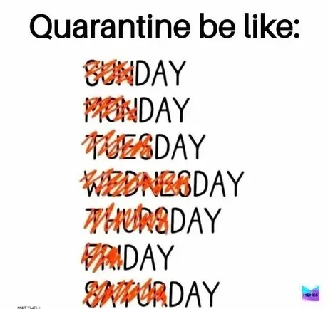 Quarantine Be Like Every Day
