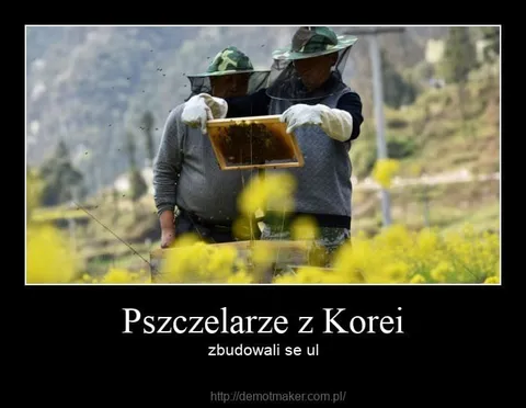 Pszczelarze z Korei