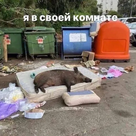 Я в своей комнате
