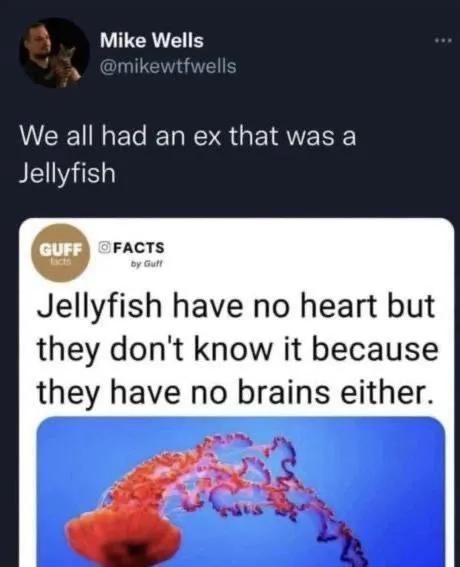 Jellyfish Ex With No Heart