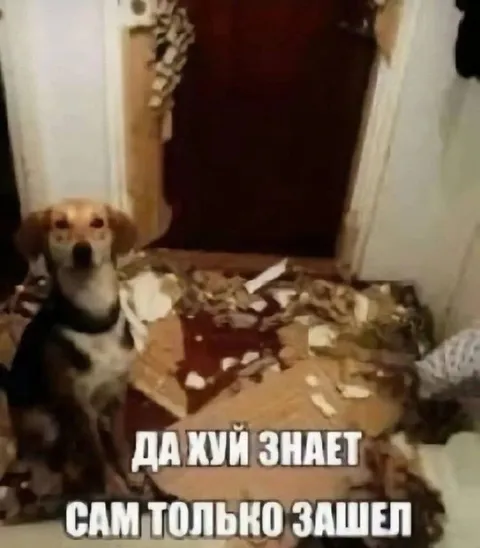 Сам только зашел и всё разбросано