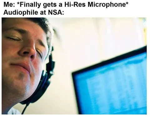 Audiophile at the NSA