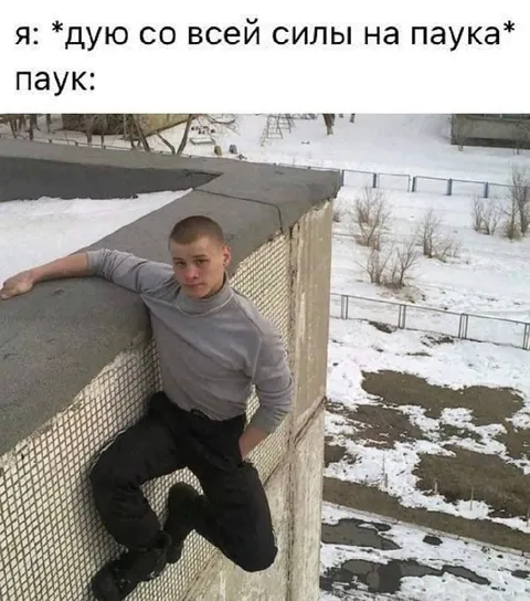 Дую на паука всей силы