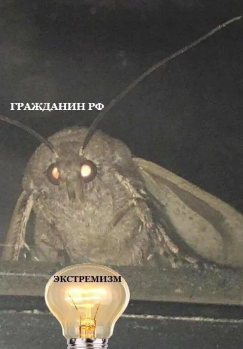 Гражданин РФ и экстремизм