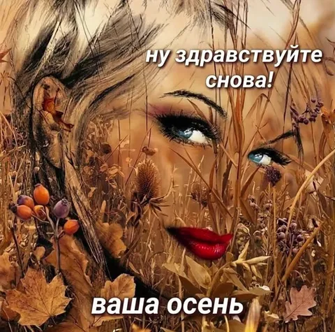 Ваша осень снова здоровается