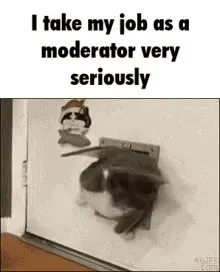 Cat Takes Moderating Seriously