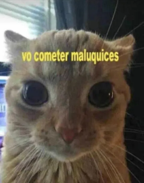 Gato a punto de hacer travesuras