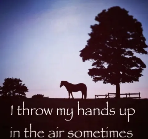 Horse Throws Its Hands Up