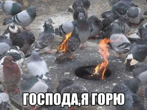 Господа, я горю