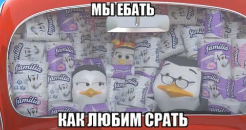 Пингвины среди туалетной бумаги