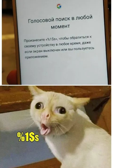 Когда голосовая команда непонятна
