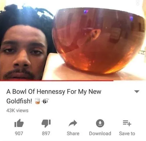 A Bowl of Hennessy for My New Goldfish