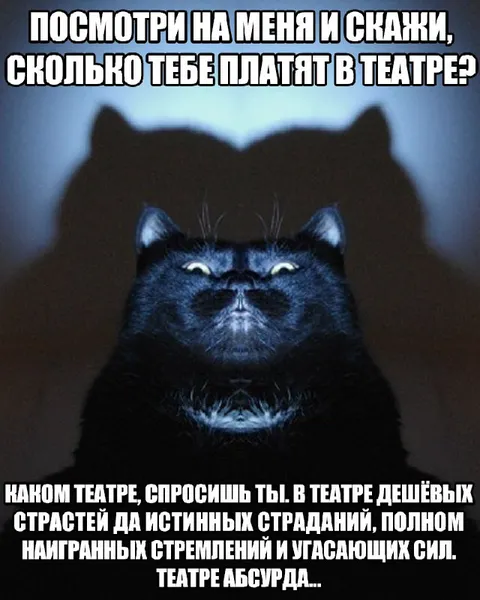 Кот в театре абсурда