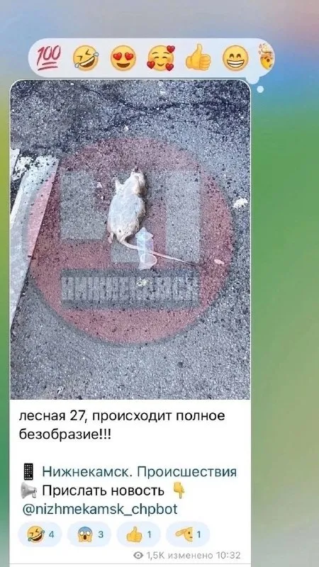 Полное безобразие на Лесной