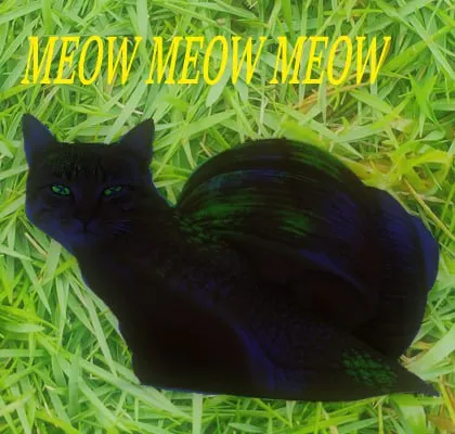 Black Cat Meow Chorus