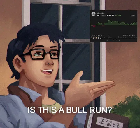 Is This a Bull Run?