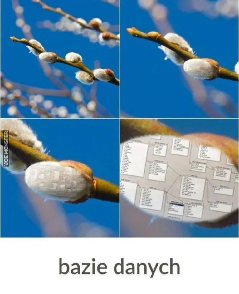 Baza danych na baziach