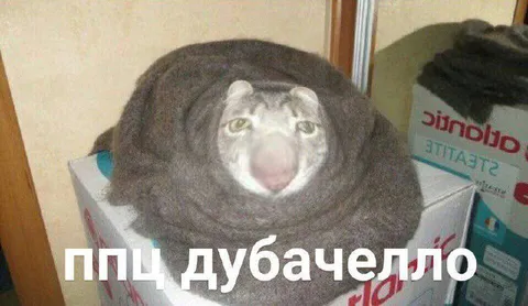 ППЦ ДУБАЧЕЛО