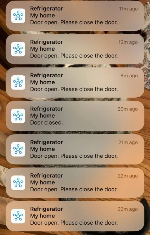 Refrigerator Keeps Complaining