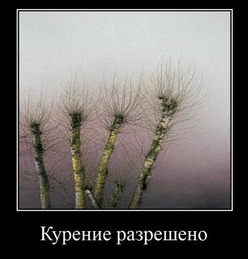 Курение разрешено