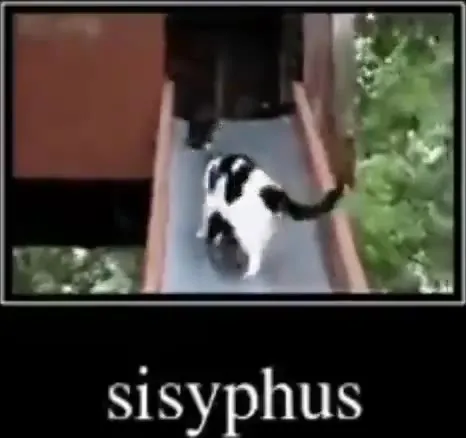 Cats Playing Sisyphus