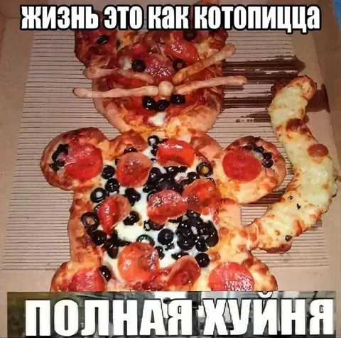 Жизнь это как котопицца