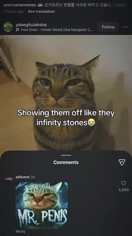 Cat Infinity Stones Comment Section