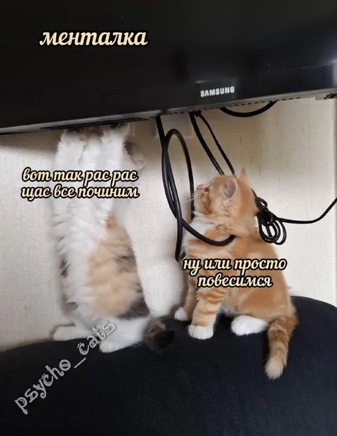 Менталка: всё починим