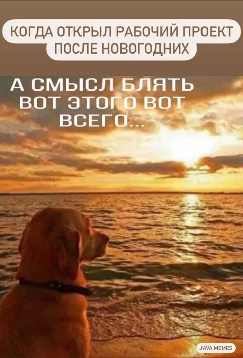 Открыл рабочий проект после праздников