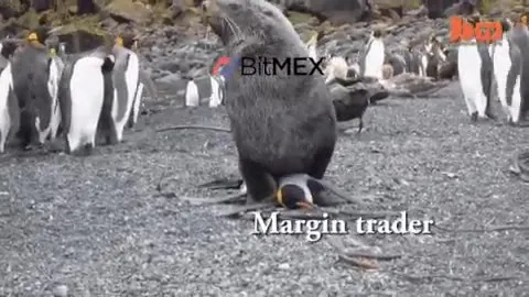 Margin Trader Changes Exchanges