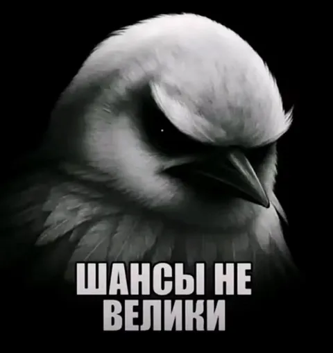 Шансы не велики