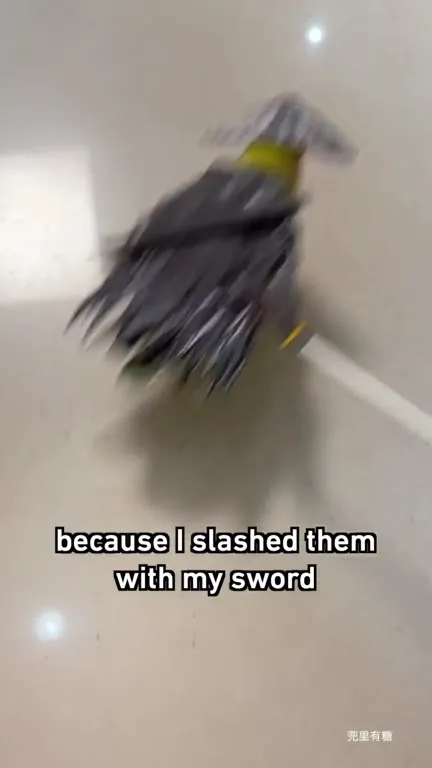 I Have No Enemies Because I Slashed Them