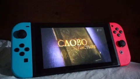 Слово пастыря на Nintendo Switch