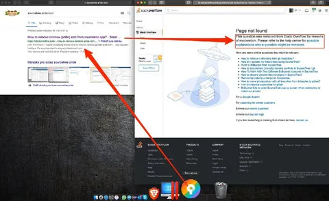 SourceTree Pride Icon Removed