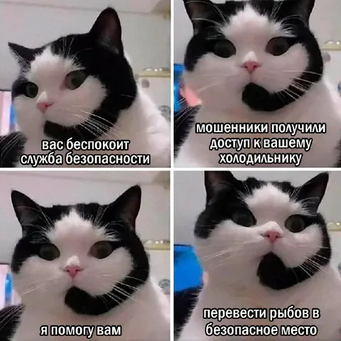 Мошенники получили доступ к холодильнику