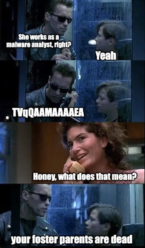 Malware Analyst Terminator