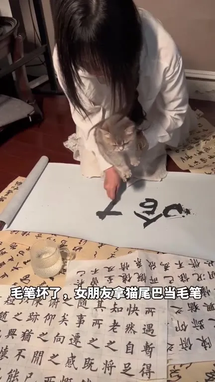女朋友拿猫尾巴当毛笔