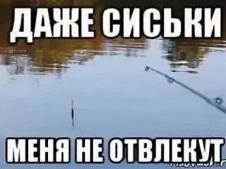 Даже сиськи не отвлекут