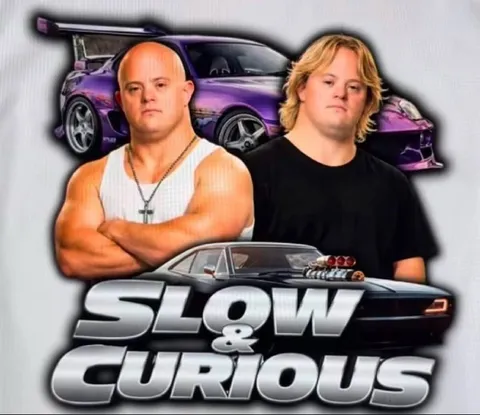 Slow & Curious Car Meme
