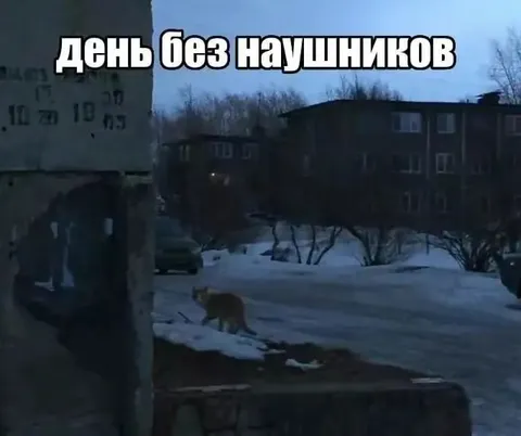 День без наушников