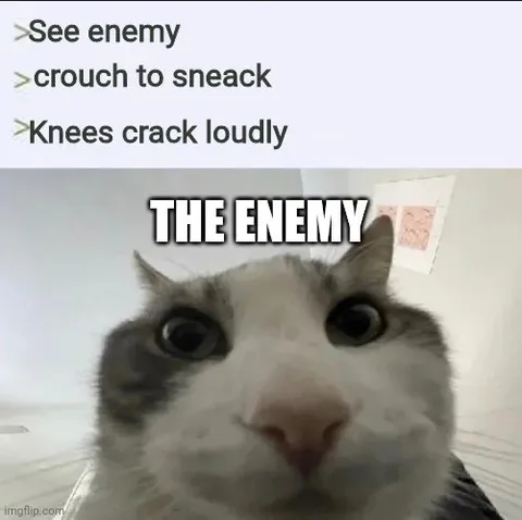 Кот — это враг