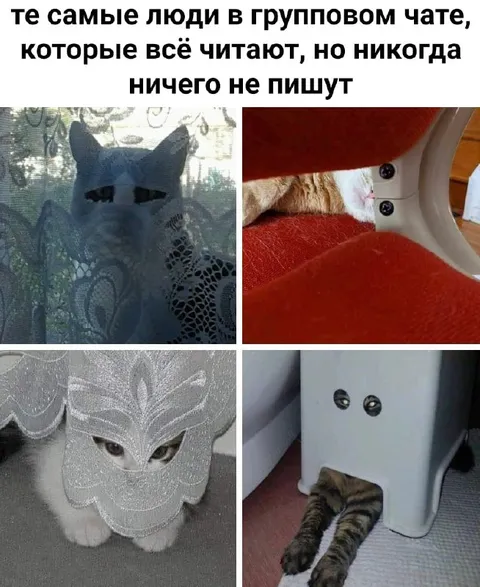 Люди, которые всё читают