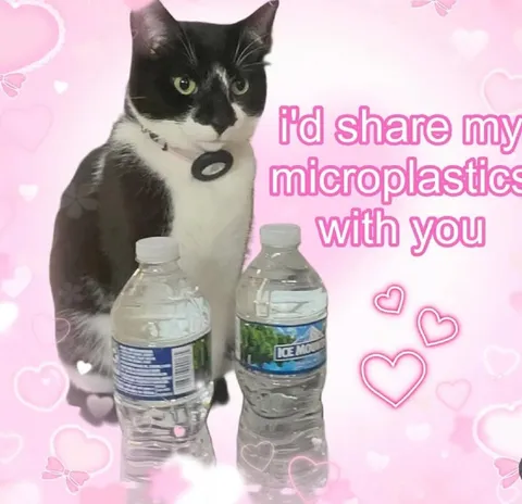 Cat Shares Microplastics