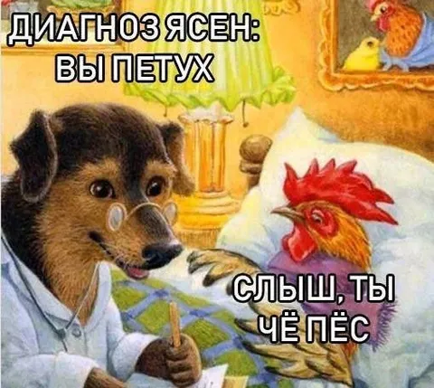 Диагноз ясен: вы петух