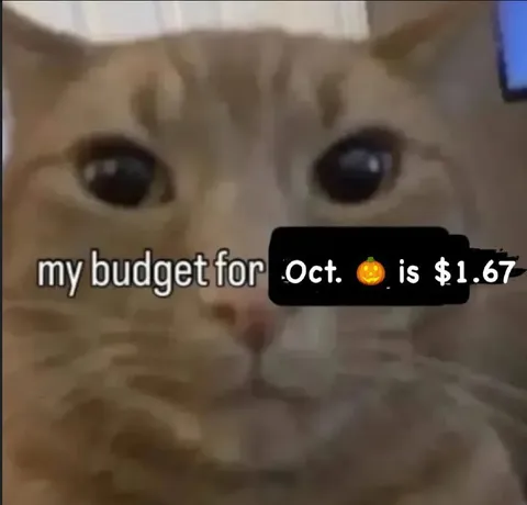 Cat’s October Budget